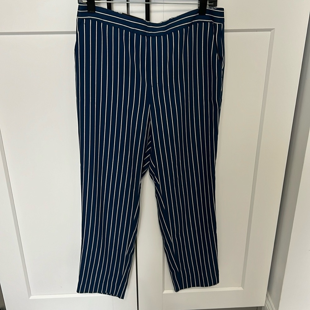 Banana Republic Hayden Lightweight Mid Rise Pant - Size 10